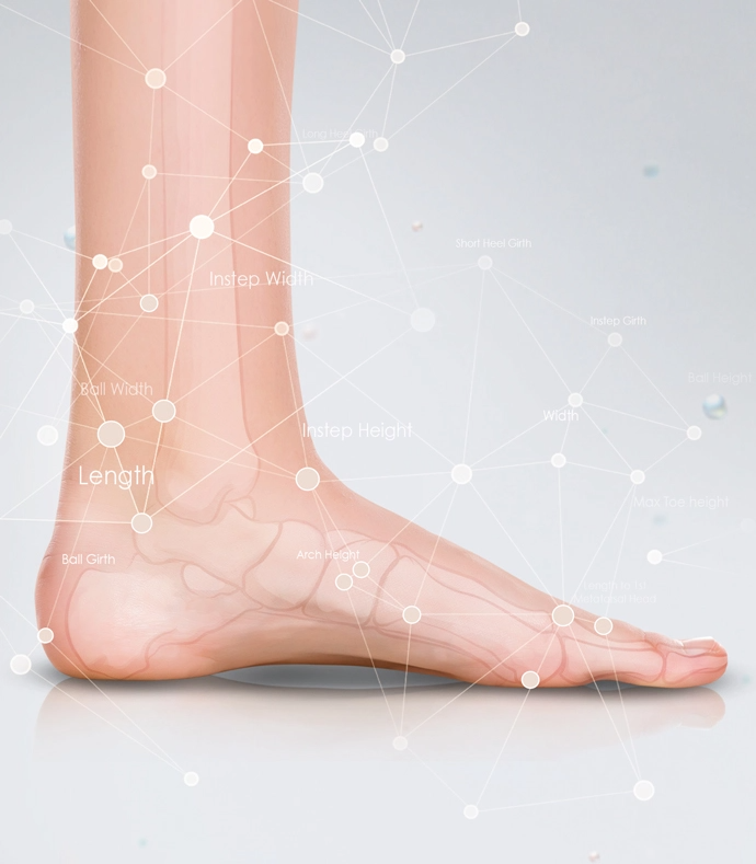Foot Scan Data