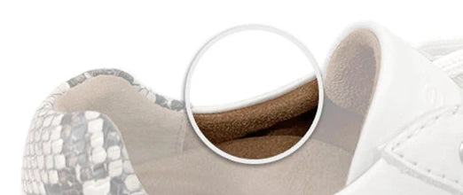padded collar