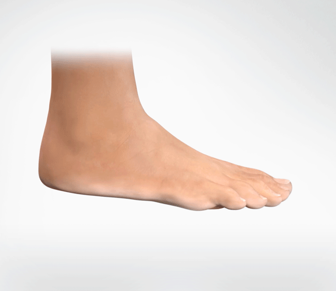 Foot Scan Data